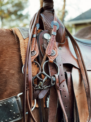 Tack and Accessories