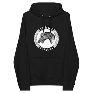 Unisex Ladyship eco raglan hoodie