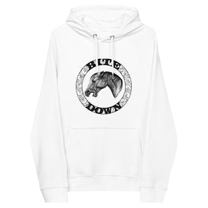 Unisex Ladyship eco raglan hoodie